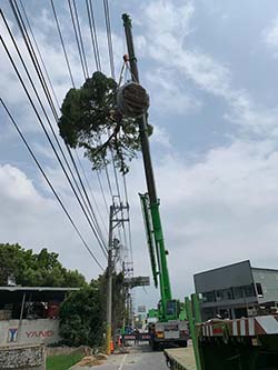 彰化吊車-樹木吊掛作業